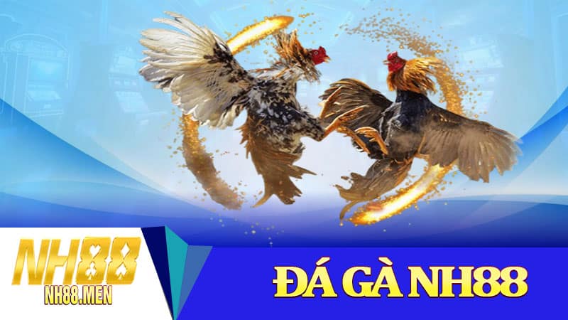 Đá Gà NH88